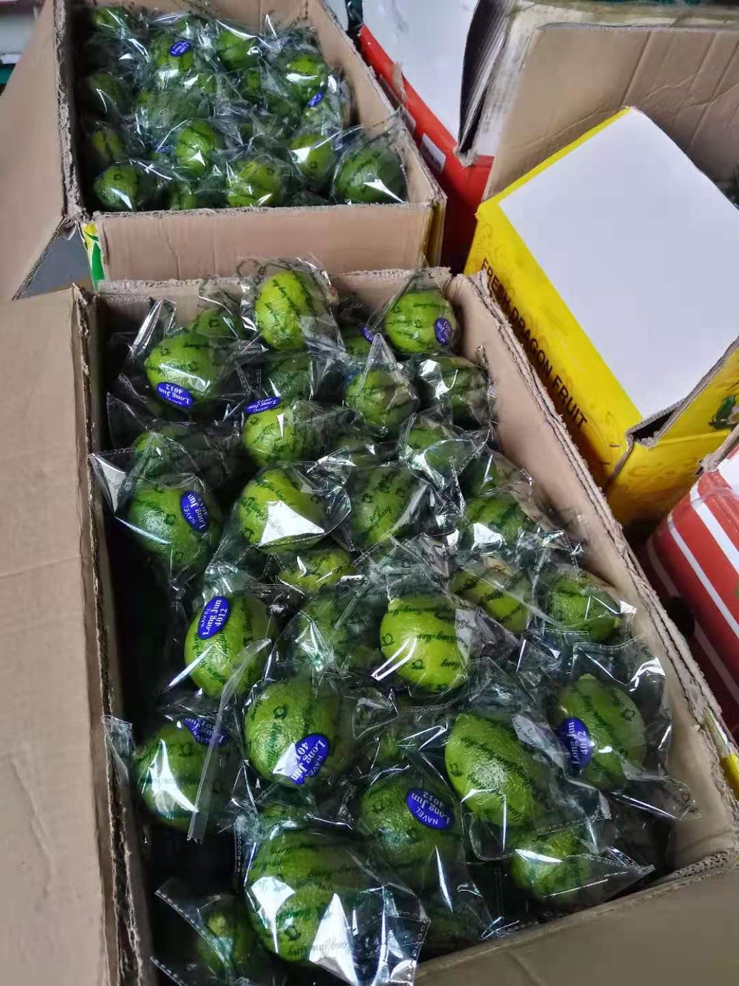 尤力克柠檬 青柠檬有籽无籽彩带亮袋四季供应