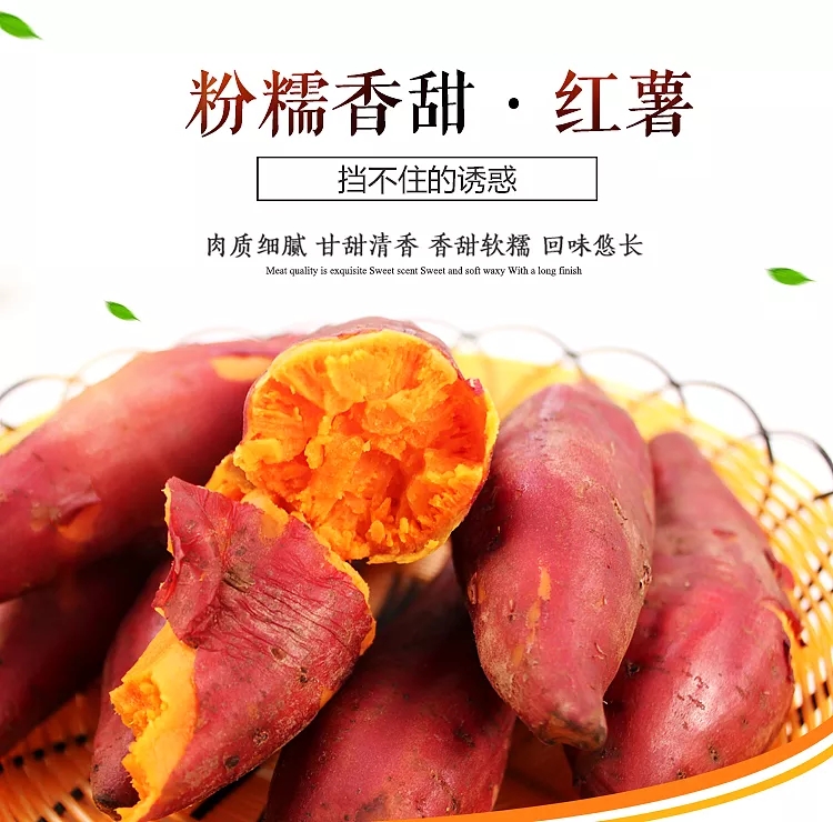 【软糯香甜 果肉娇嫩】福建六鳌蜜薯5斤装 单果50g以上