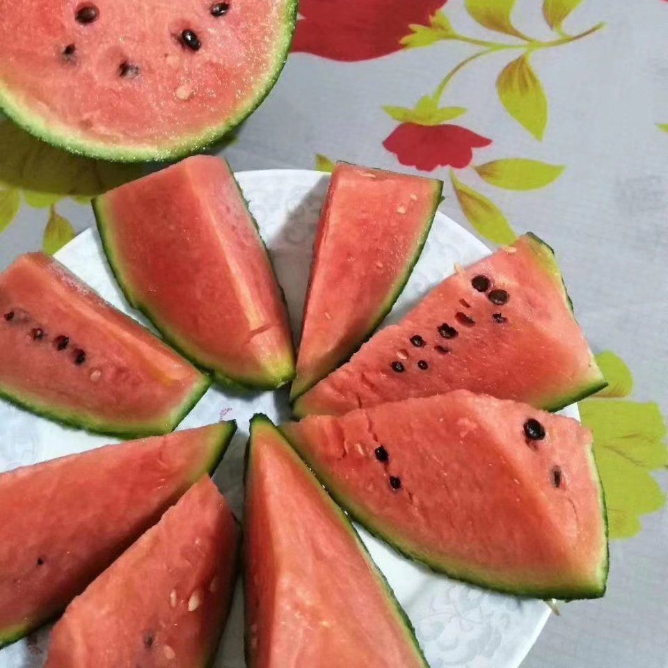 西瓜，山东潍坊早春红玉西瓜