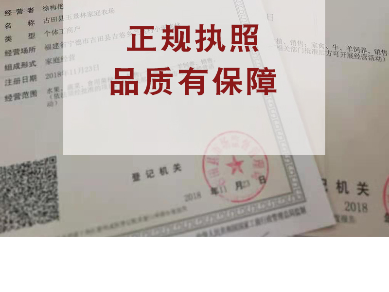 李子干 正宗农家特产芙蓉李 传统晒制 酸甜可口果干 开胃蜜饯