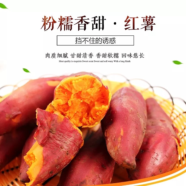 【软糯香甜 果肉娇嫩】福建六鳌蜜薯5斤装 单果50g以上