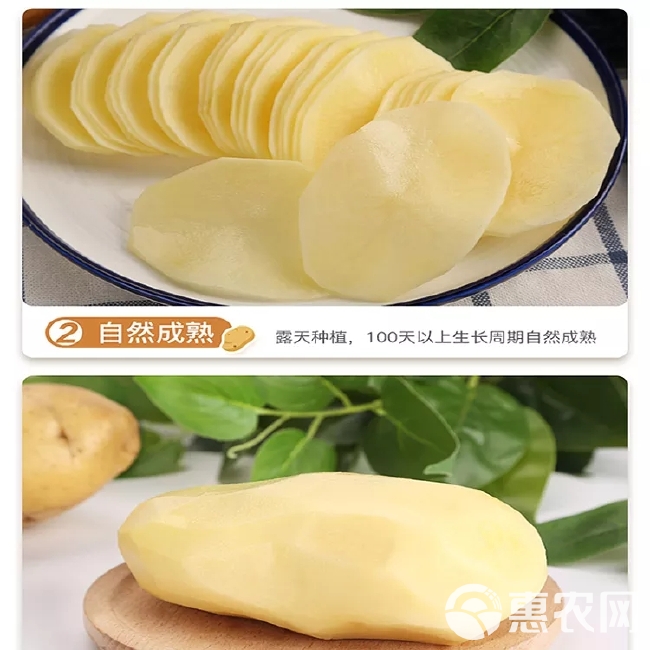 山东黄皮土豆来自蔬菜之乡的美味，农家自种，新鲜直达，沙甜软糯