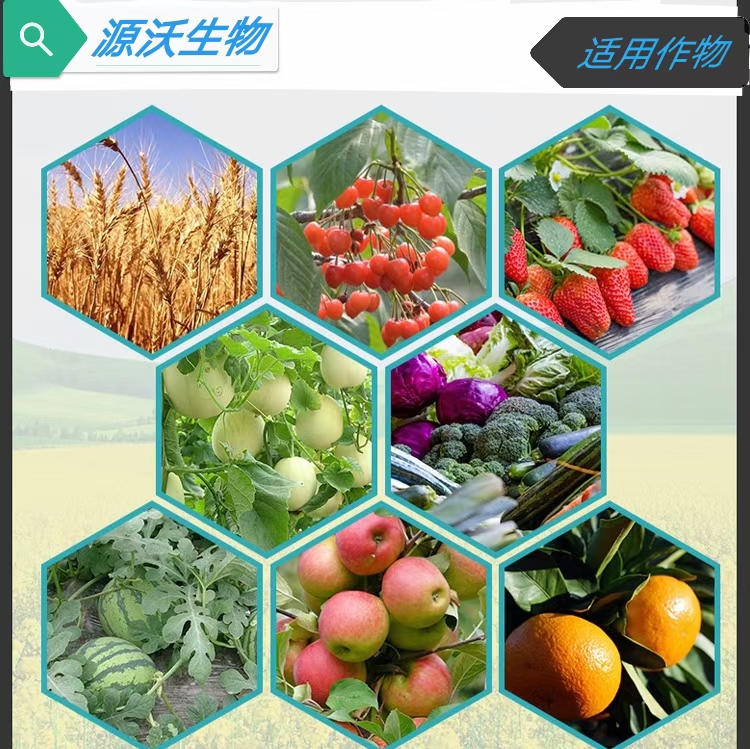 微量元素肥料  黄腐酸钾鱼蛋白