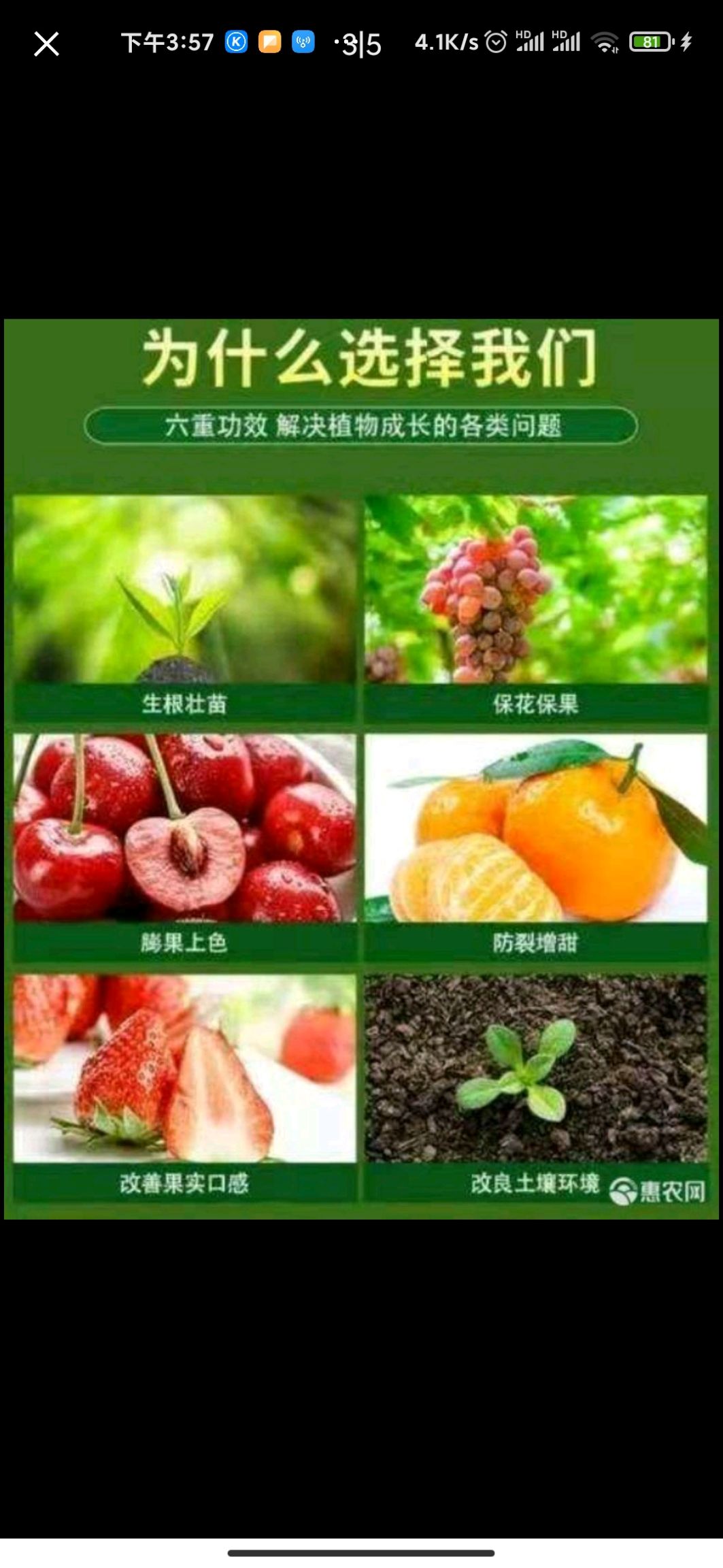 大量元素肥料  亚磷酸钾  【包邮】