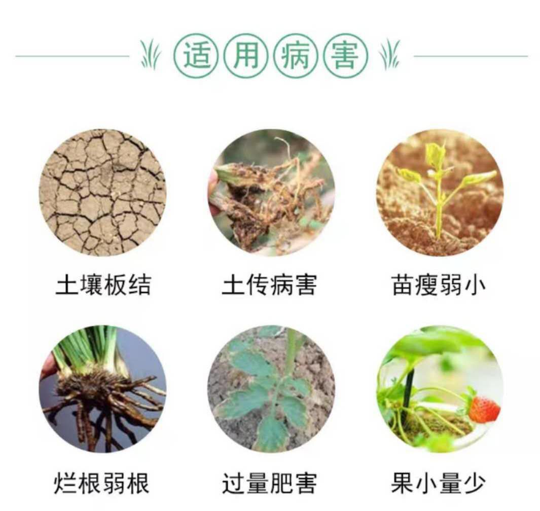 菌肥  根果多微生物菌剂 有益菌发酵 厂家发货 没有中间商