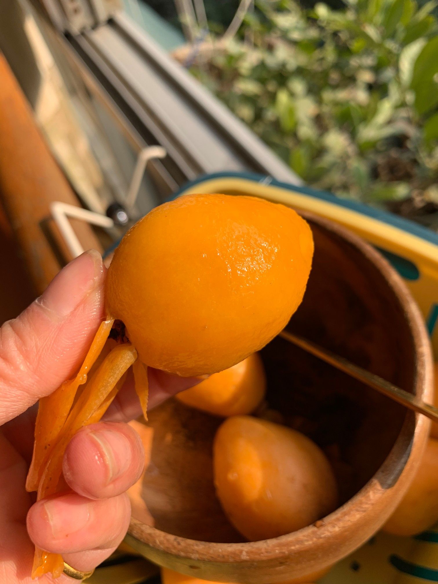  攀枝花米易枇杷3斤5斤包邮微商电商可来