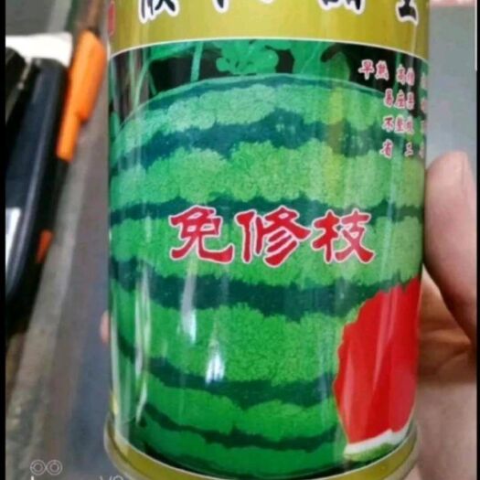 兰考县懒汉西瓜种子 懒汉甜王西瓜种子，省工省时，极易坐果，大红瓤