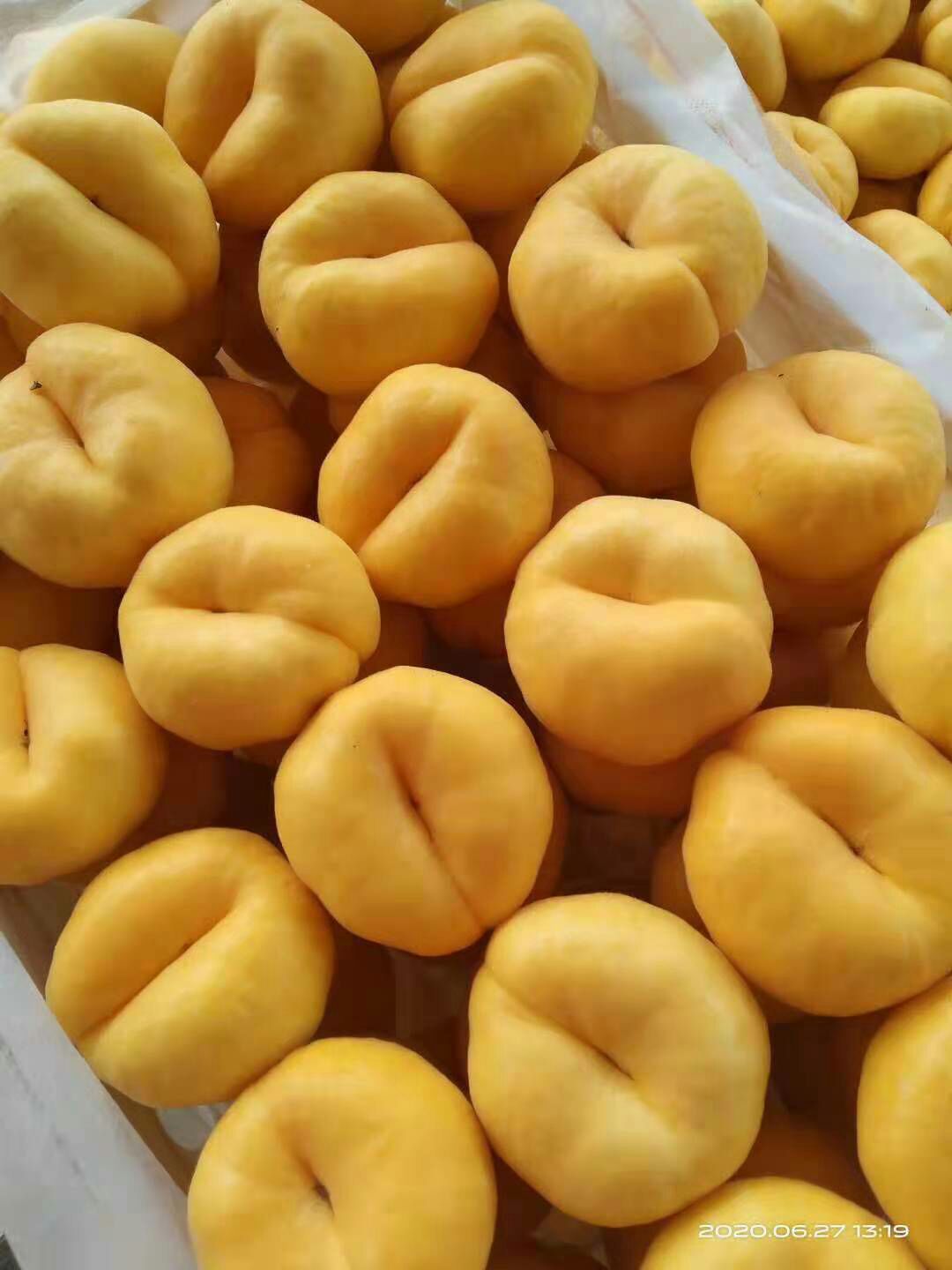 黄金蜜 山东沂蒙山黄桃基地。数量巨大。品种巨多。欢迎新朋友考察采购。