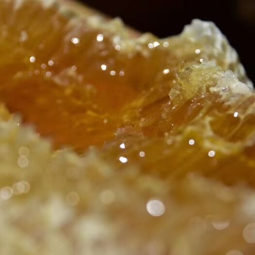 贵阳蜂蜜，土蜂蜜，野蜂蜜，百花蜜。