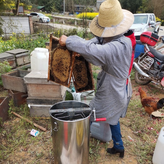 邛崃市油菜蜜 自家蜂场出产正宗天然油菜花蜂蜜，需要正宗蜂蜜的可以联系我哦