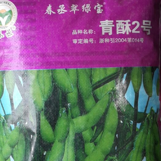 成都山毛豆种子  铁豆77毛豆种子，蔬菜基地专用品种，采食鲜荚77天左右。