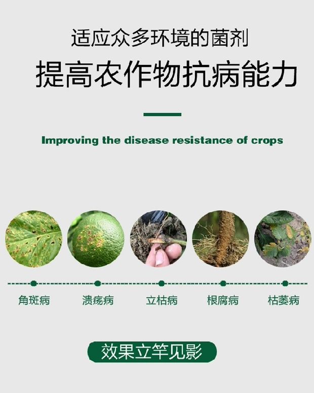 复合微生物菌剂  禾绿源枯草芽孢菌杆菌微生物菌剂枯萎根腐灰霉白粉病固氮农用菌肥