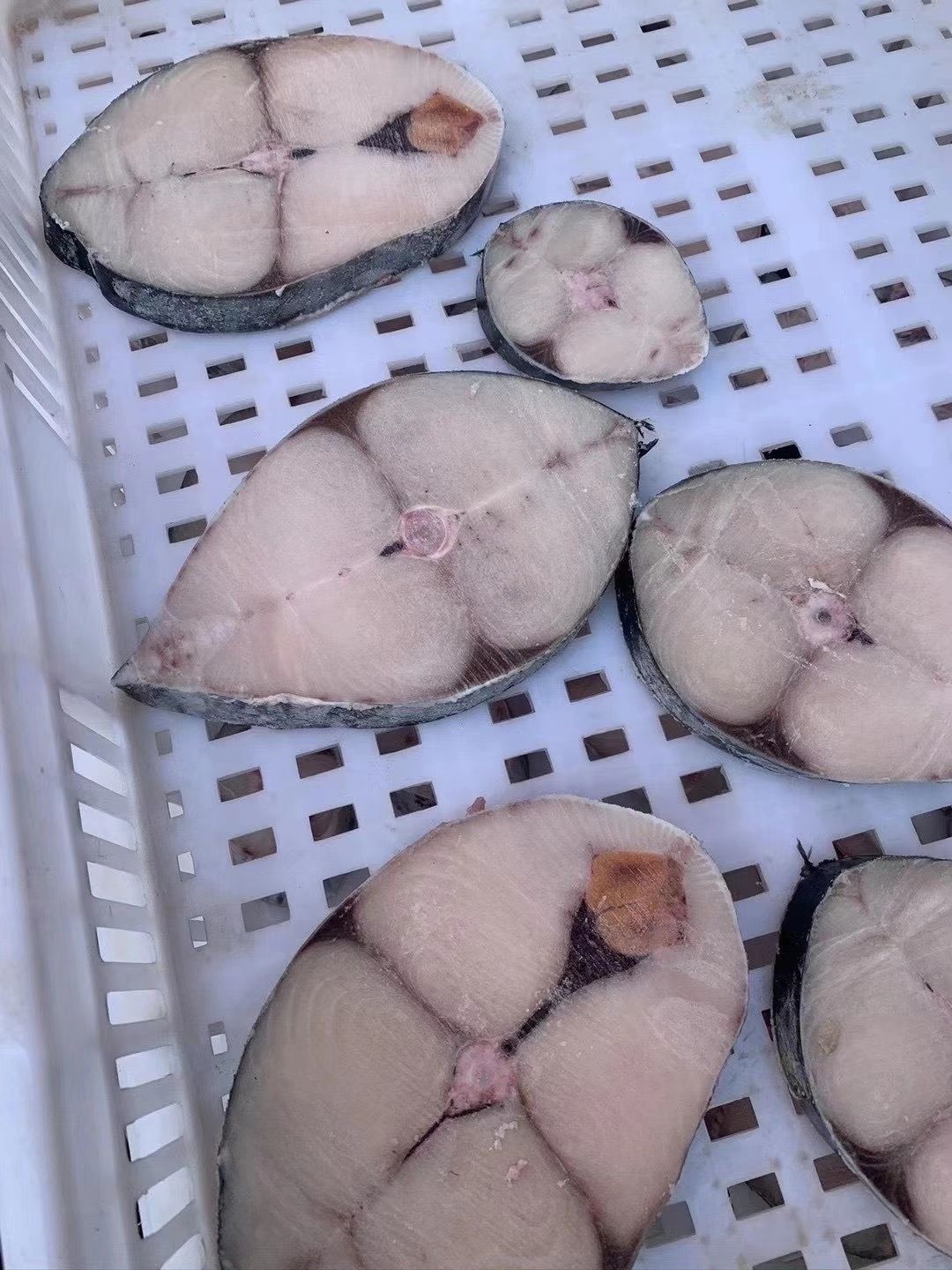 马鲛鱼片