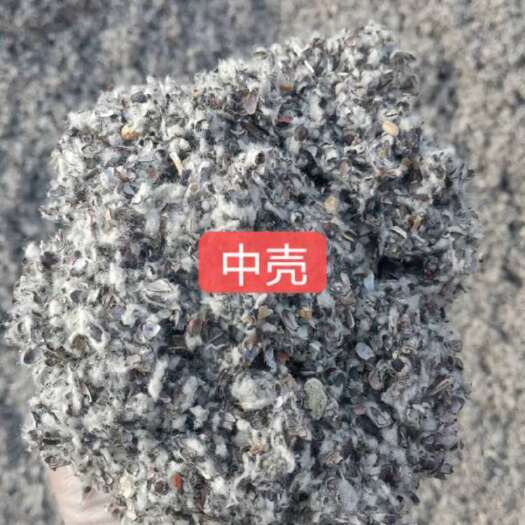 奎屯市棉籽壳  新疆优质，蘑菇培育上好原料