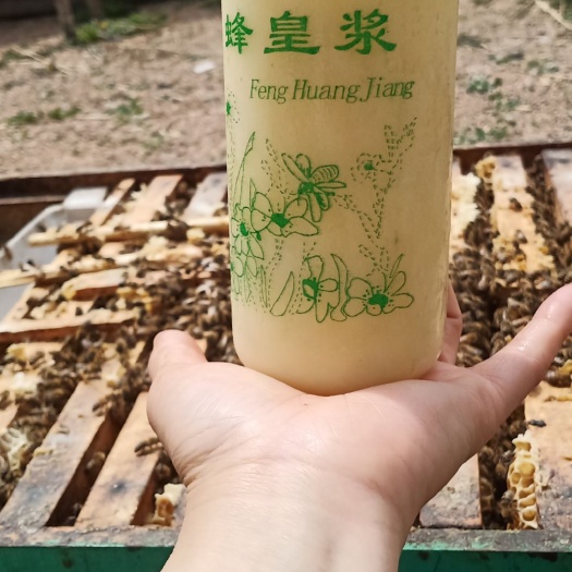 尚志市 蜂王浆，有助睡眠，需要冷藏
