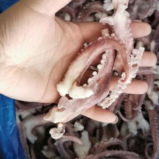 荣成市鱿鱼 小脆口