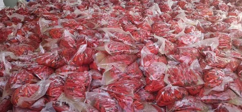 息烽县腌辣椒  精品美人椒， 泡椒系列， 欢迎采购