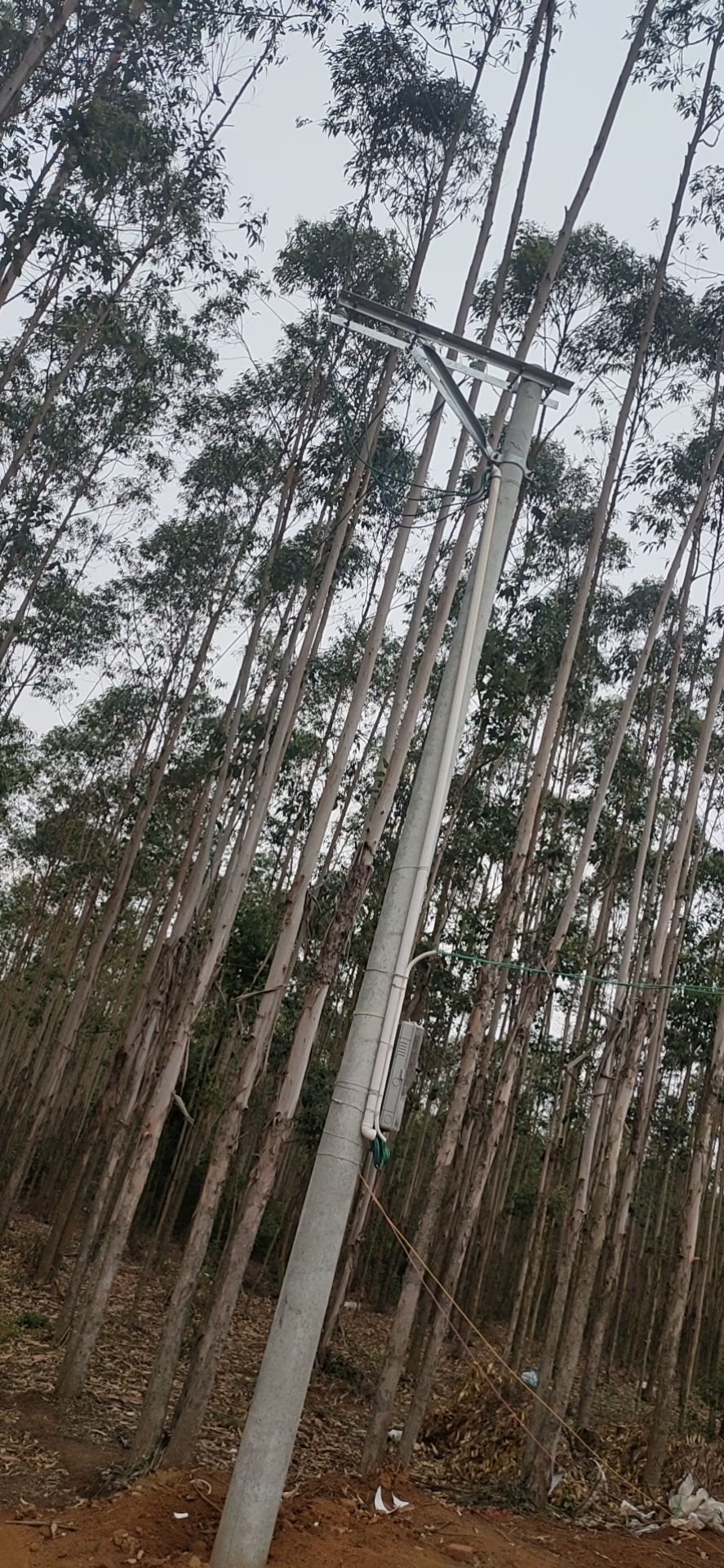 畜牧养殖用地 自家林地出租，交通方便