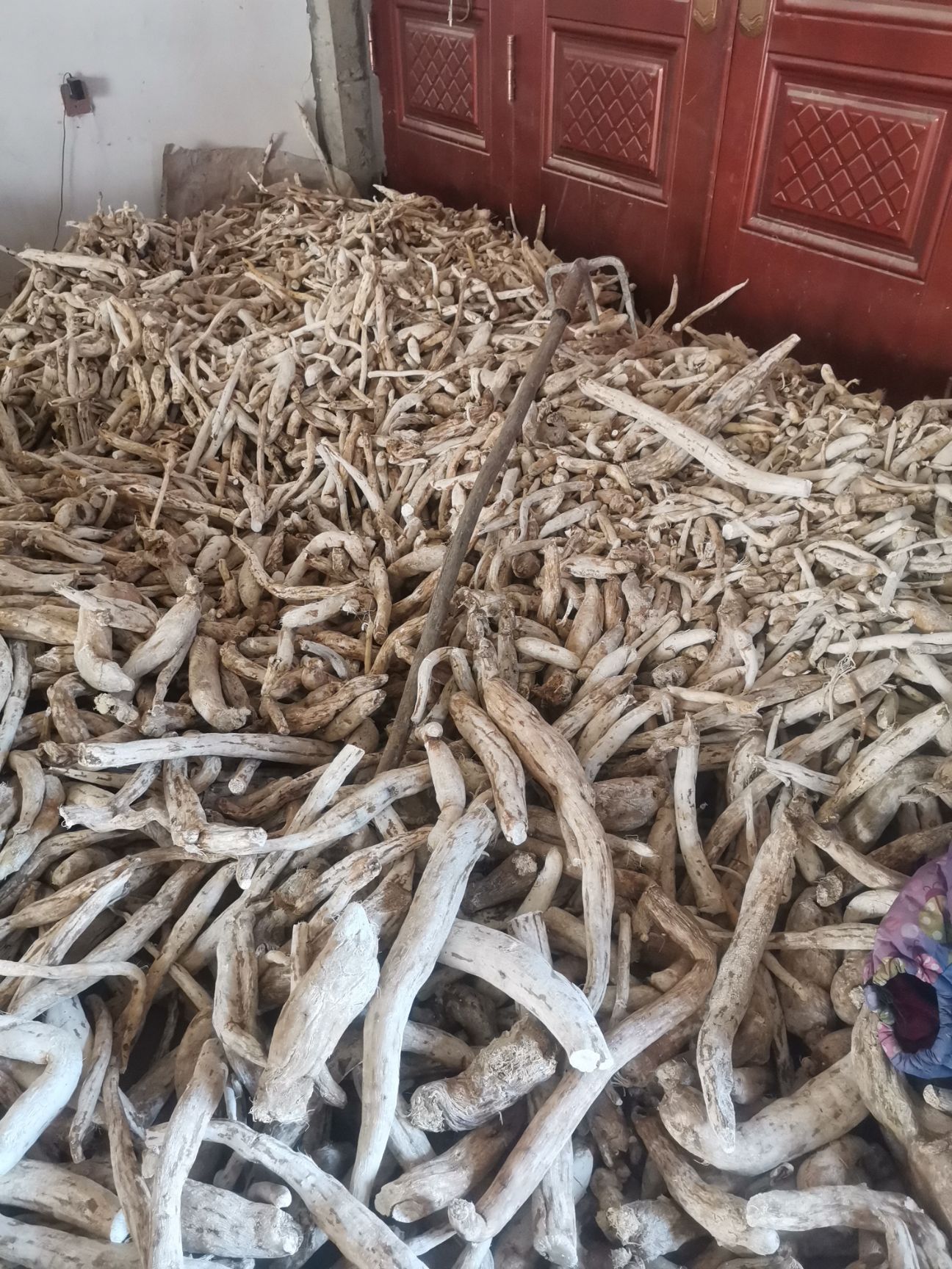  天花粉