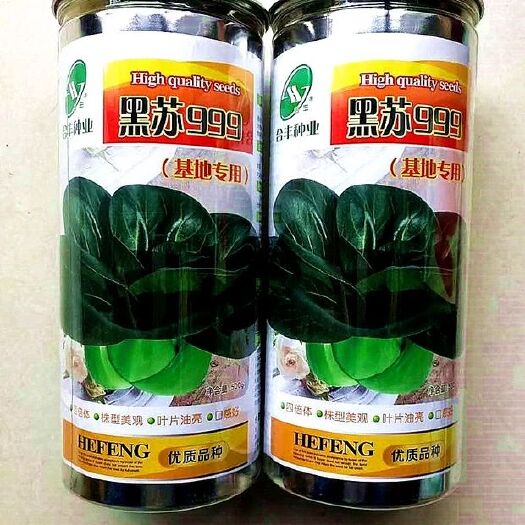 沭阳县青梗菜种子 黑叶大青菜种子黑苏999矮棵黑叶菜南方北方春夏秋冬四季蔬菜