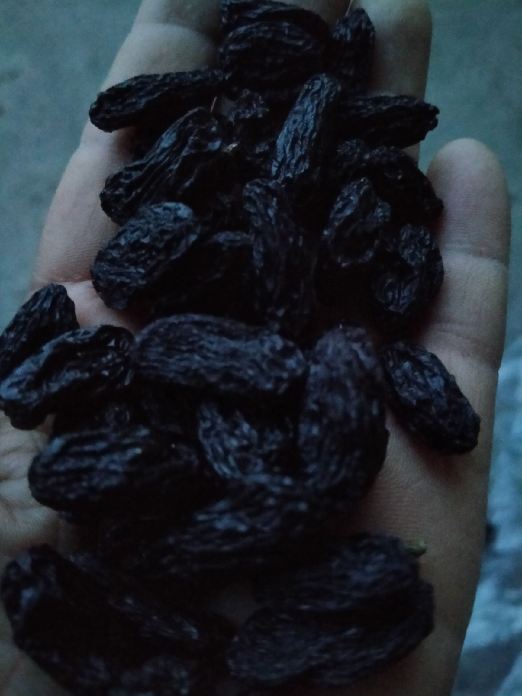 新疆吐鲁番市大货黑加仑葡萄干 大中小混转，电商快消