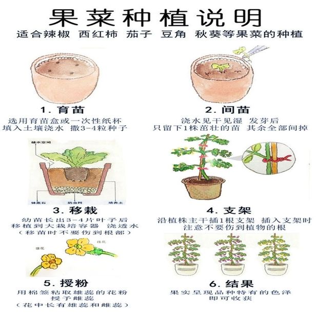  正宗羊角蜜瓜酥甜瓜种子种籽苗蔬菜孑秧脆高产四季香瓜春季瓜苗孑