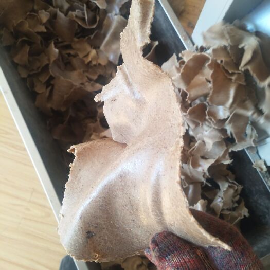 阳泉花生饼饲料  熟榨花生饼