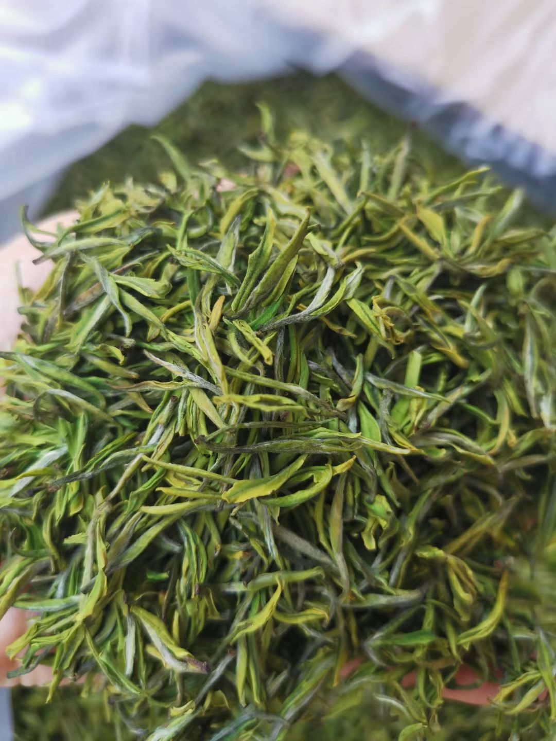 2021新茶叶恩施玉露茶富硒茶炒青绿茶明前特级浓香型散装