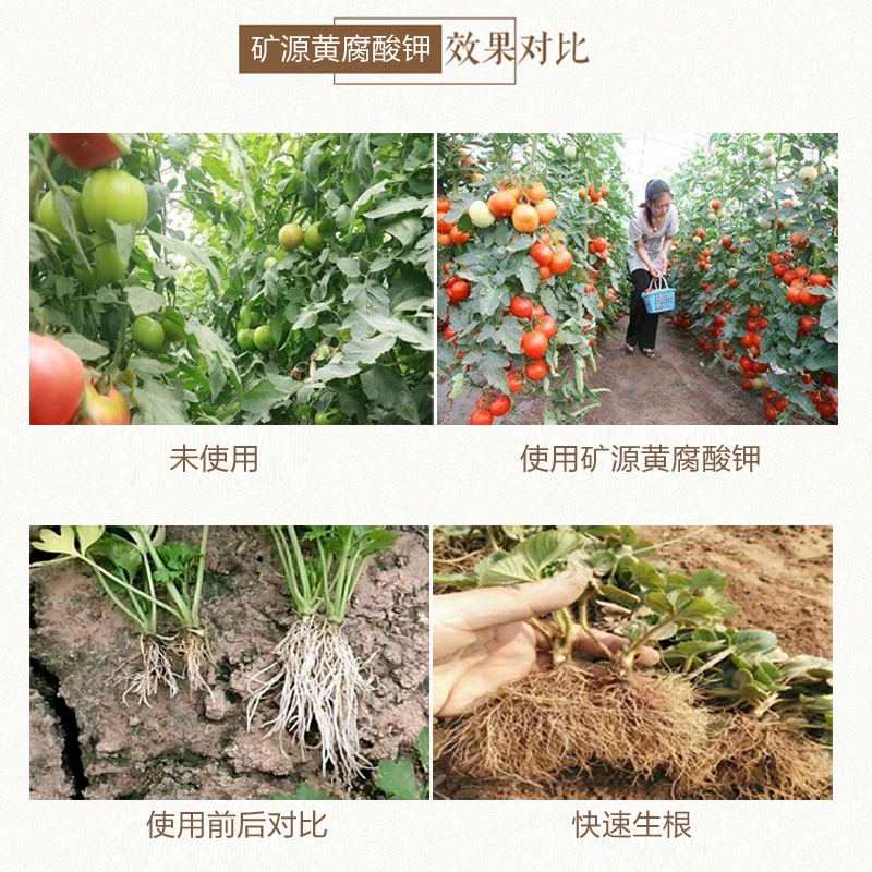 禾绿源矿源黄腐酸钾腐殖酸钾水溶肥叶面肥冲施肥生根肥抗重茬农用
