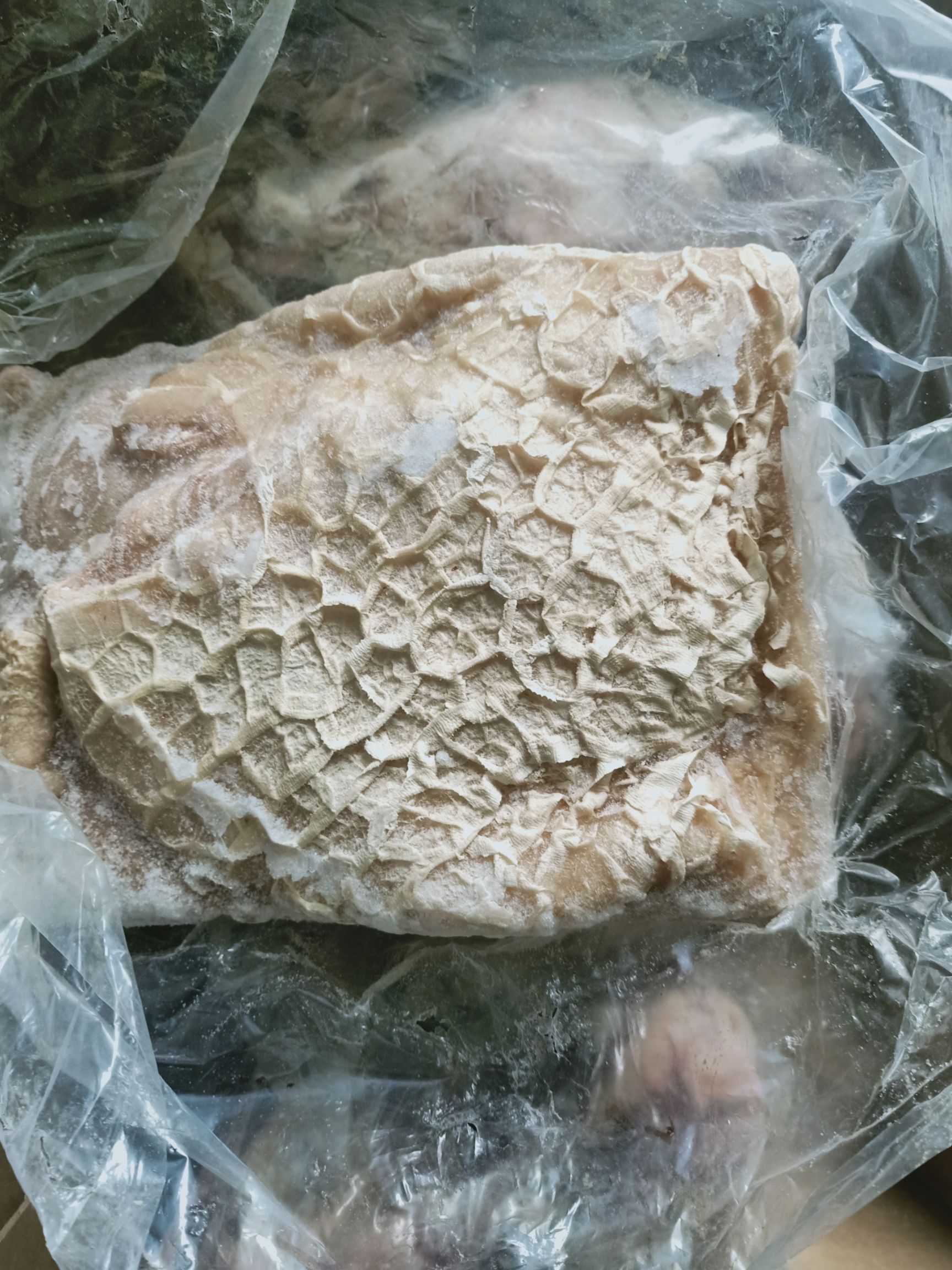 牛肚 牛凈肚，内蒙古锡林浩特市草地牛，黄肚