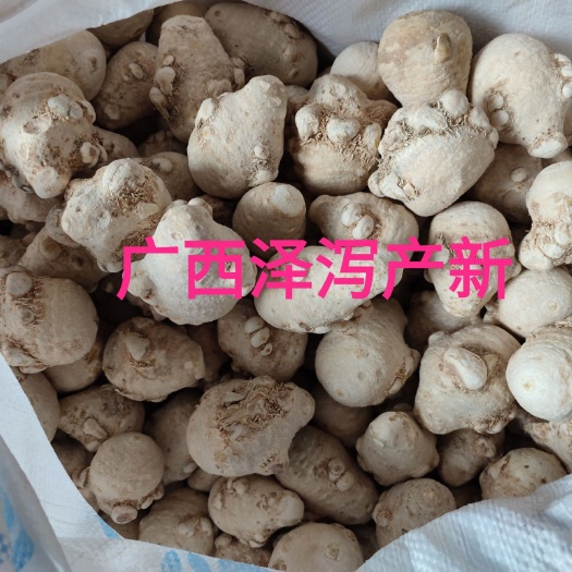 贵港建泽泻  广西泽泻产新 广泽泻文且无硫白净抛光全干货产地直销批发大货