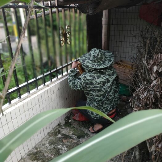 化州市纯正蜂蜜，拒绝白糖水