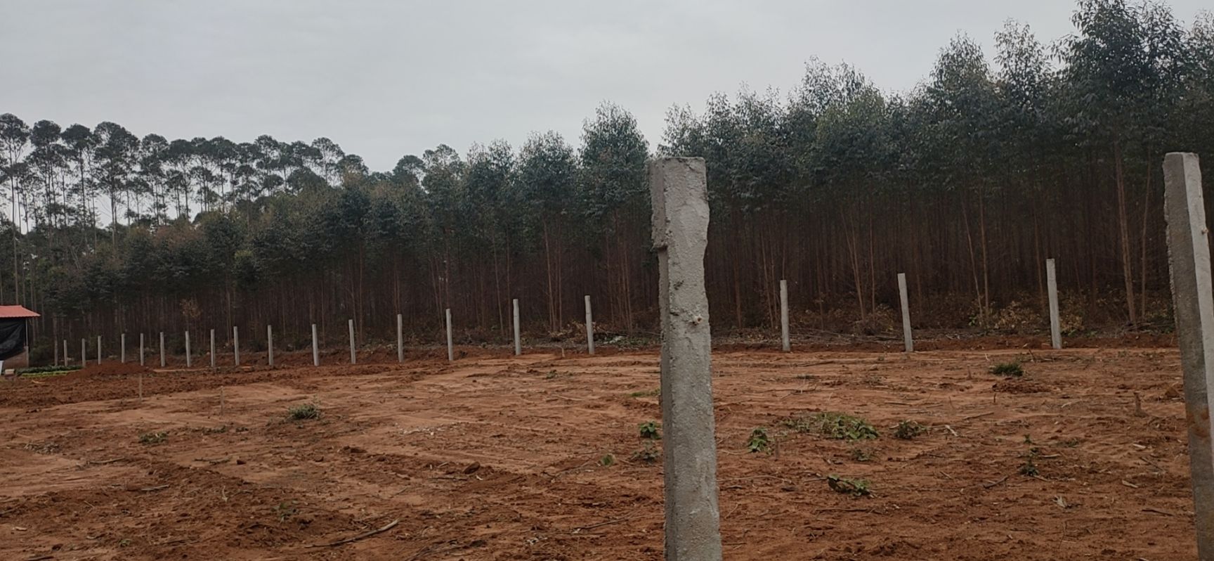 畜牧养殖用地 自家林地出租，交通方便