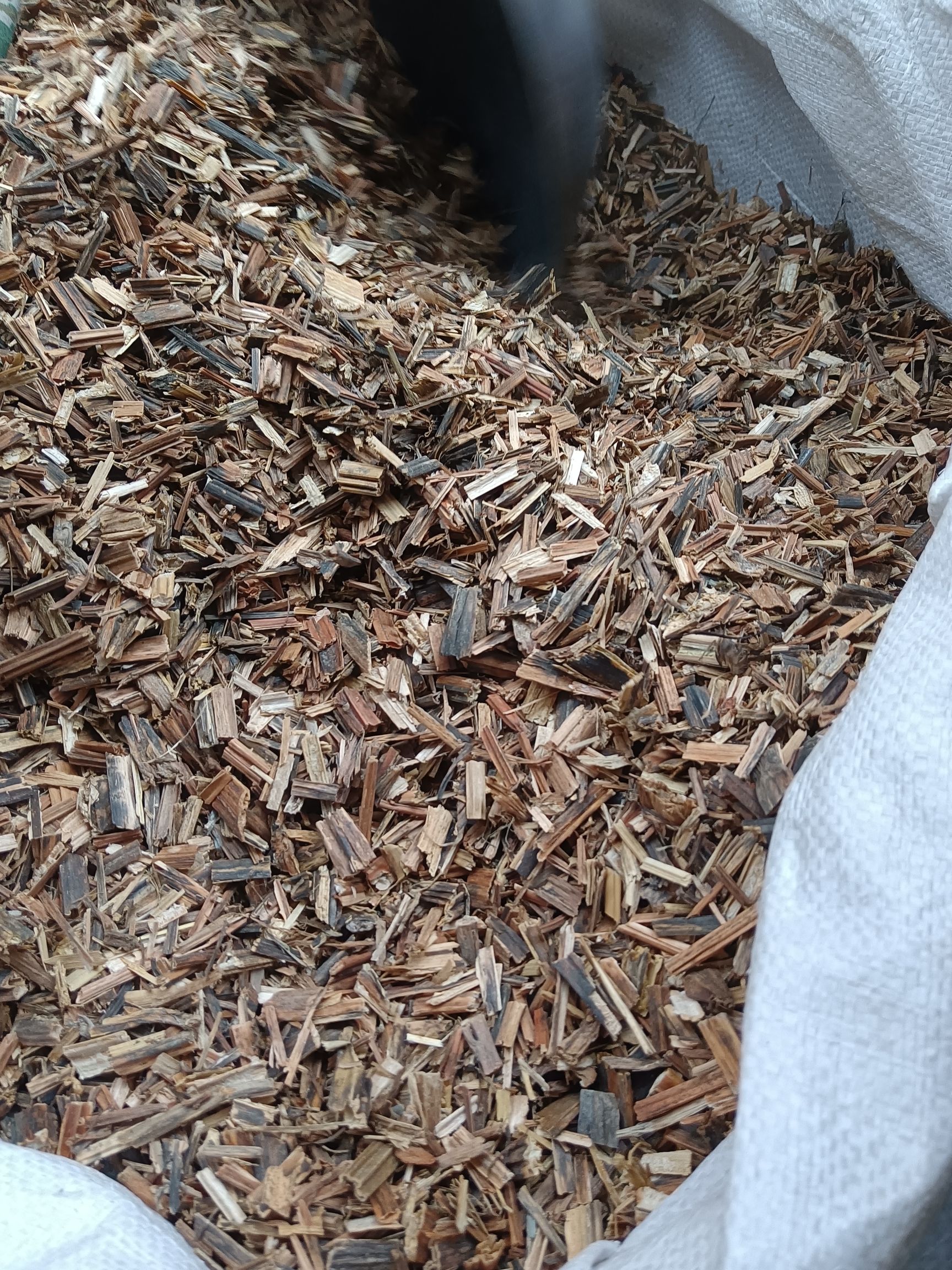无硫统货透骨草.珍珠透骨草、竹格叉、吉盖草、枸皮草