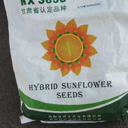 商都县向日葵种子 种子，3638，美仁心，3135，小日期旱地水地都可以种