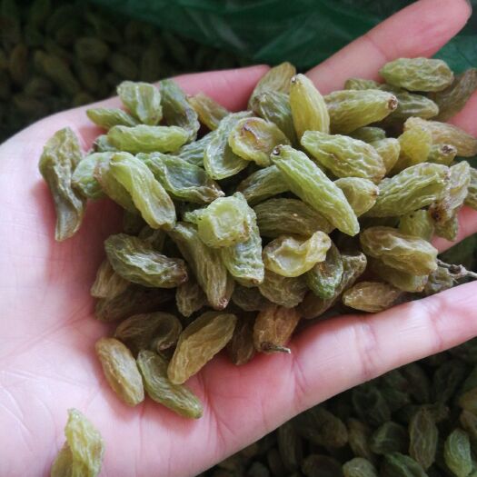 商丘 大绿葡萄干