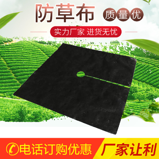 德州防草布新型除草布盖草布遮草布果园果树单张地布地钉耐用抗老化