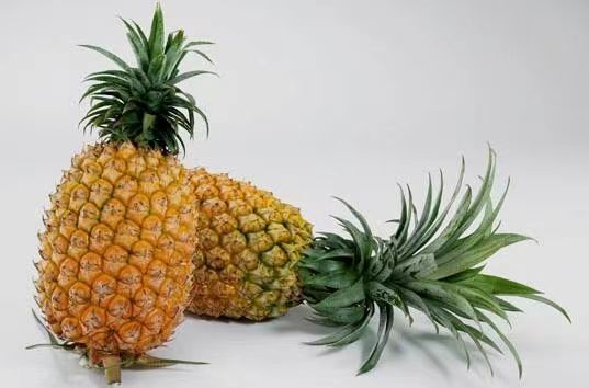 徐闻县香水菠萝 广东省湛江市徐闻县 一级果