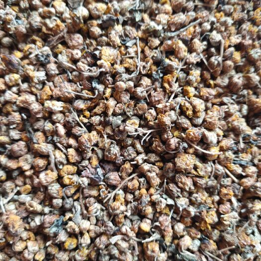 广水市香菊  供应高含量菊花，纯颗粒和统货都有