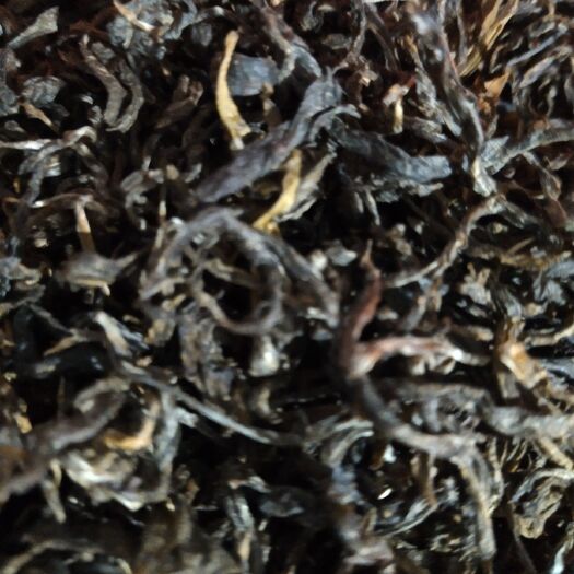 凤庆县海清茶  绿茶
