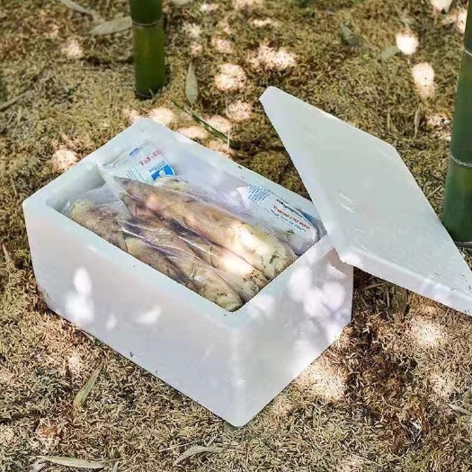 杭州 临安春笋雷笋5斤一箱落地配社区团购
