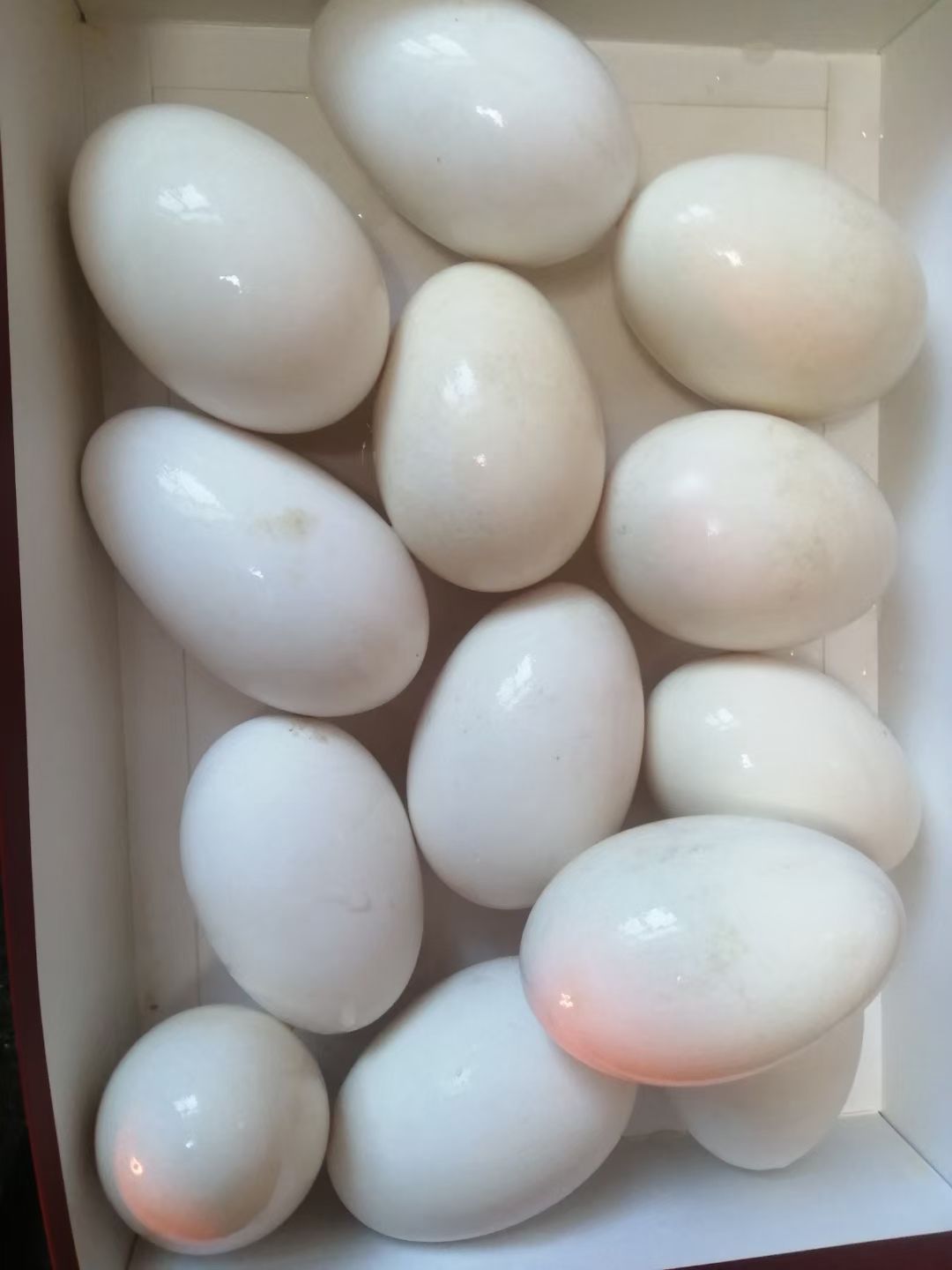 天津鲜鹅蛋  农家散养土鹅蛋，纯粮喂养，保证营养，食用、孵化均可。