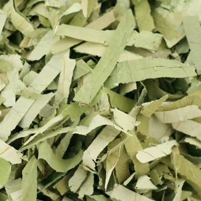 荷叶 中药材批发零售荷叶 另售整张荷叶 荷叶 荷叶丝