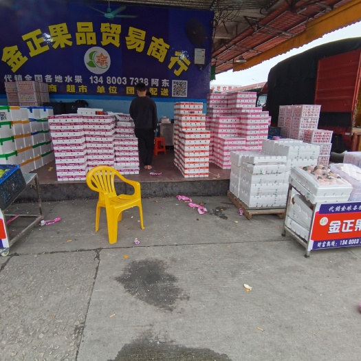 东莞市茂谷柑 马水桔