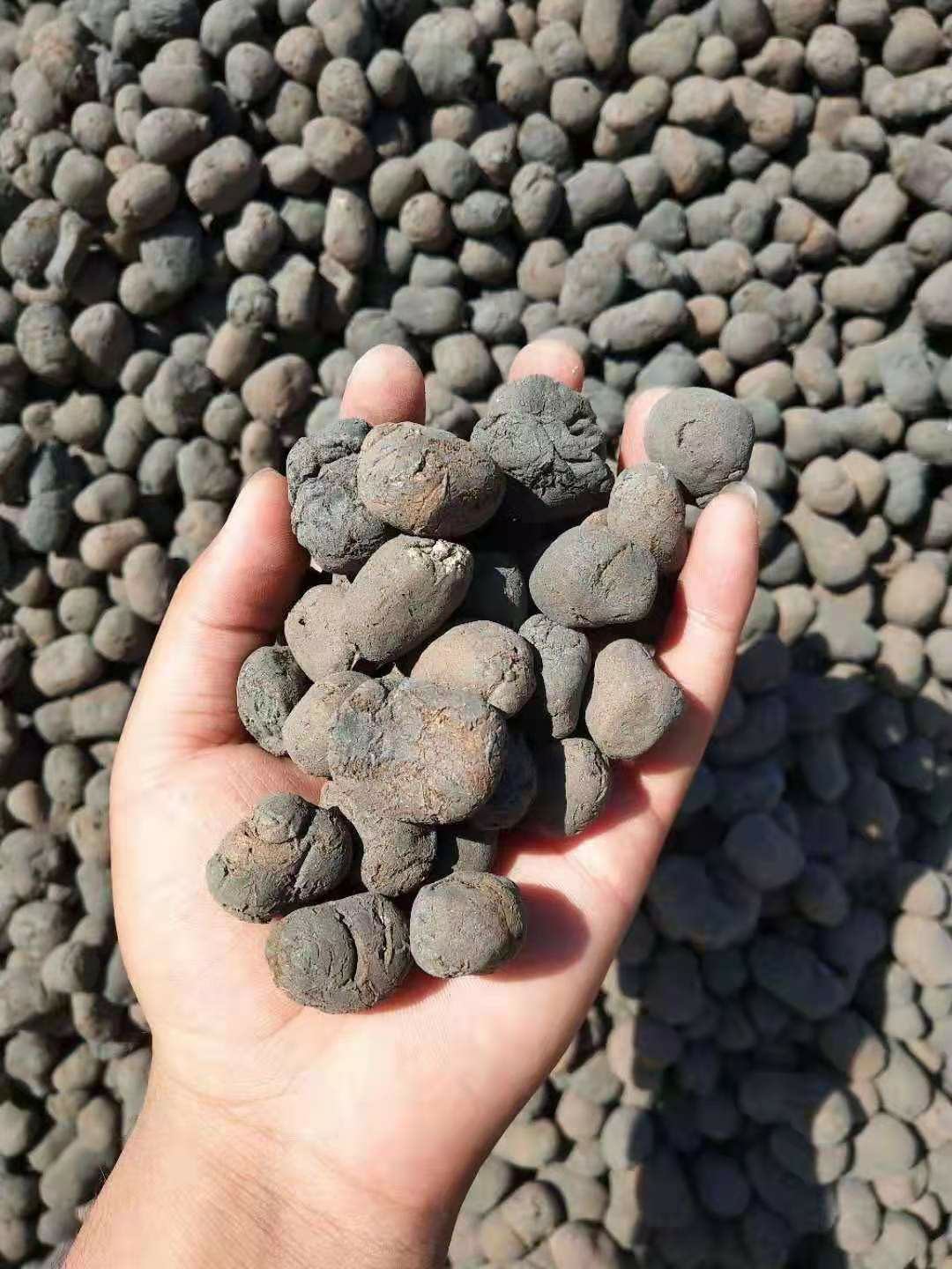 本厂生产 回填陶粒 花奔园林陶粒 建筑陶粒