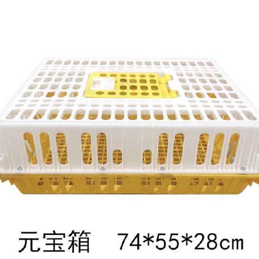 沧县鸡笼，鸡筐，鸡鸭鹅兔用周转箱