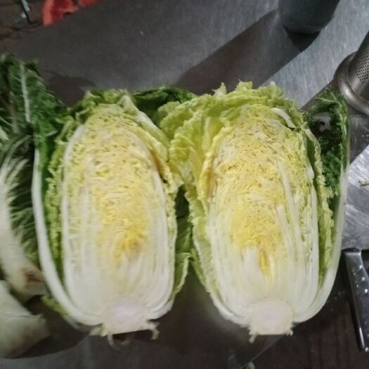 新野县黄心大白菜，基地货，质量有保证，货源充足。