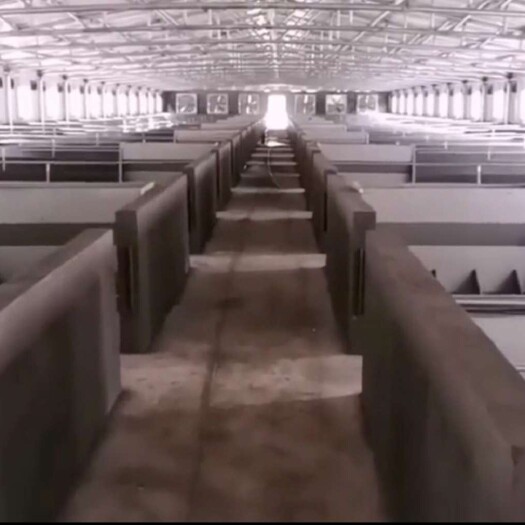 文安县大棚 钢架与保温板的好结合 保温猪舍 保温隔热 抗风抗雪压