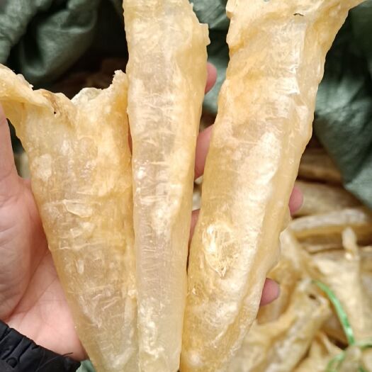 东兴市花胶  巴沙鱼胶，个头大，肉厚