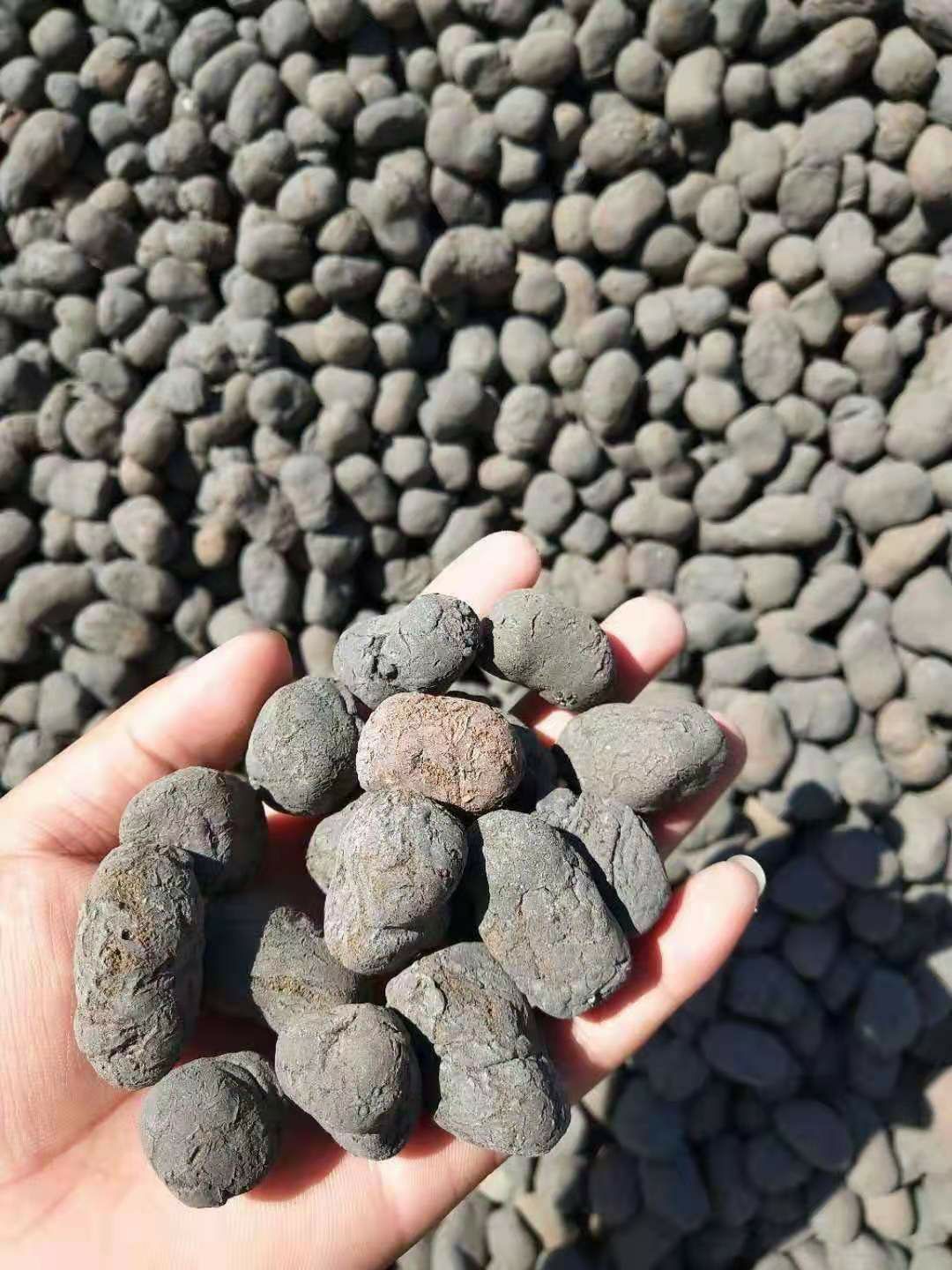 本厂生产 回填陶粒 花奔园林陶粒 建筑陶粒